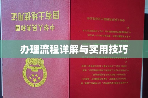 永登办理流程详解与实用技巧