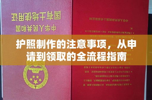 永登护照制作的注意事项，从申请到领取的全流程指南